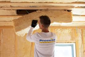 Eco-Friendly or Green Insulation Solutions in Biscayne Park, FL